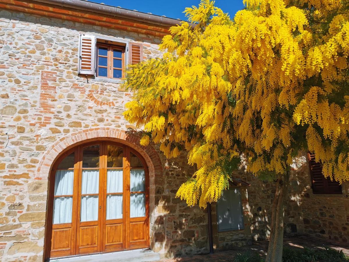Antico Borgo Frosini Villa Arezzo Exterior foto